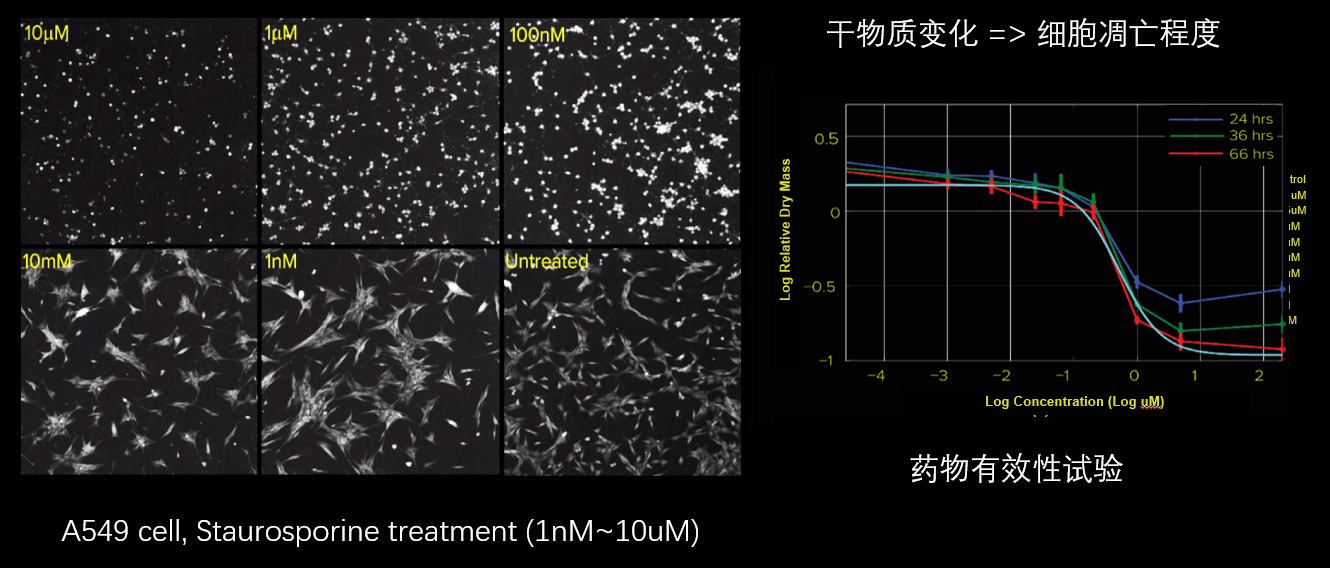 5、細(xì)胞毒性分析.png
